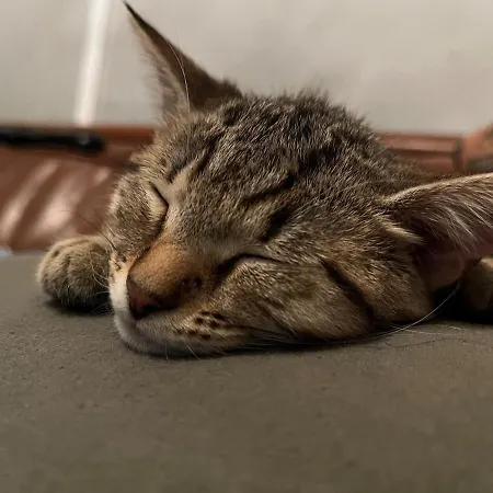 Nyaraló La Maison De Timba